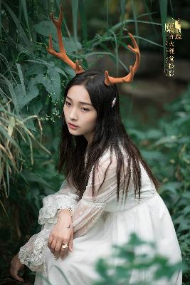 高清DVD碟片收藏指南：日韩欧美影片资源哪里找？